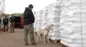 Paraguaios apreendem maior quantidade de cocaína da história do país