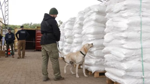 Paraguaios apreendem maior quantidade de cocaína da história do país