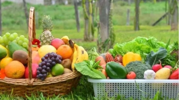 Santa Catarina lidera em Segurança Alimentar, aponta pesquisa