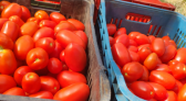 Feira da Agricultura Familiar começa nesta quinta-feira