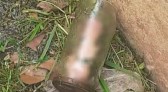 Homem descobre pênis decepado dentro de pote no jardim da casa da mãe