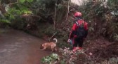 Corpo de bebê levado pela correnteza em Pato Branco é encontrado