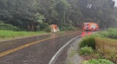 Caminhão sai da pista e pega fogo em São Carlos