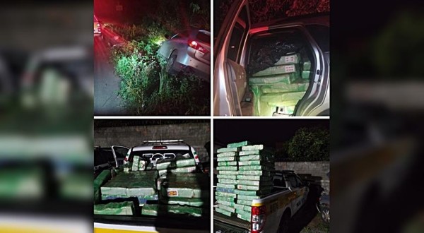 PMRv apreende mais de 700 quilos de maconha