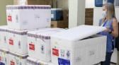 Estado recebe lote com mais de 147 mil vacinas CoronaVac