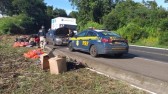 Homem é preso após furtar cebolas caídas em rodovia