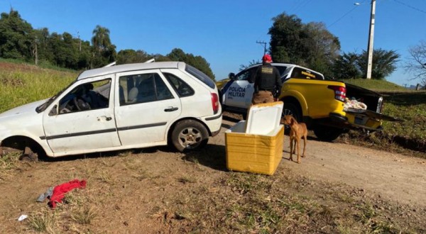 Após fugir da Polícia Rodoviária Estadual, veículo capota carregado com 35 quilos de maconha