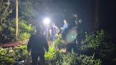 Idoso morre após ser atingido por árvore enquanto realizava corte