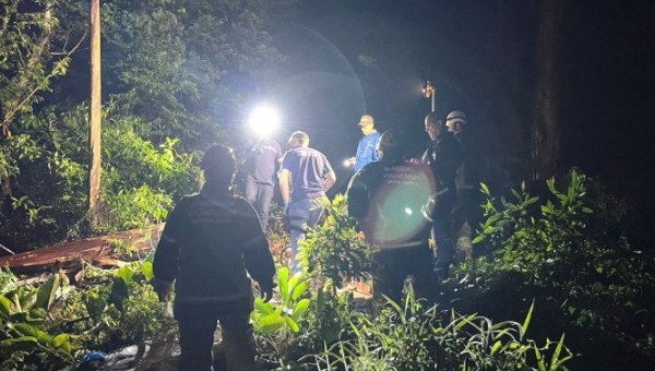 Idoso morre após ser atingido por árvore enquanto realizava corte