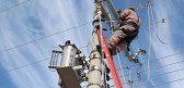 Pássaro causa curto-circuito e deixa mais de 350 imóveis sem luz