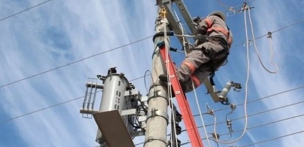 Pássaro causa curto-circuito e deixa mais de 350 imóveis sem luz