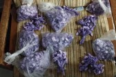 Ação policial apreende 1,1 mil porções de cocaína e desmantela esquema de delivery de drogas