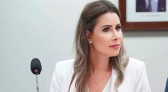 Deputada Federal quer que estados tenham autonomia para decidir sobre armas de fogo