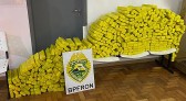Adolescente conduzia veículo com 283 kg de maconha em Capanema-PR