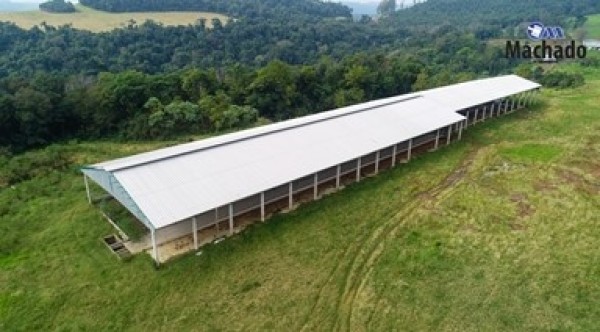 Machado Leiloeiro realiza Leilão Judicial Online de área de terra e equipamentos para confinamento de gado leiteiro