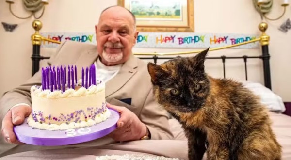 Gata de 31 anos pode se tornar a mais velha do mundo após rotina de cuidados especiais