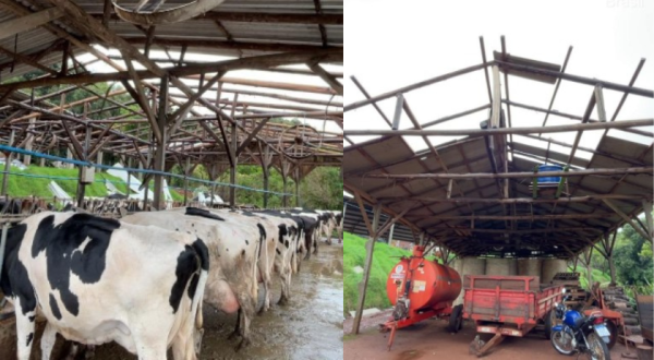 Defesa Civil percorre município para apurar estragos do temporal