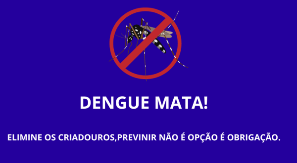 SC registra primeira morte por dengue em 2024