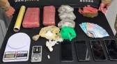 Polícia Militar desarticula ponto de tráfico e apreende mais de 2,6 quilos de drogas em ação em São José do Cedro e São Miguel Do Oeste