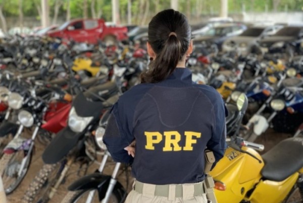 PRF promove leilão de 256 veículos apreendidos no Oeste de SC