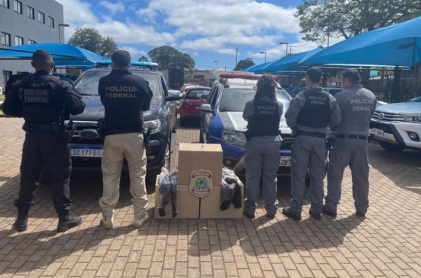 Polícia faz doação de 150 kg de cabelos apreendidos para pacientes em tratamento de câncer