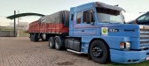 BPFRON apreende carreta com carga irregular de palmeiras