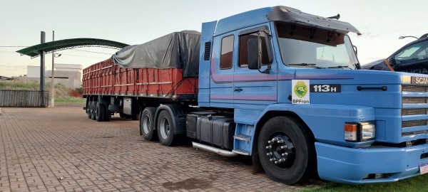 BPFRON apreende carreta com carga irregular de palmeiras