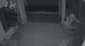 Câmera flagra furto de escada em obra na região da antiga aduana de cargas