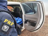 Apreensões de drogas pela PRF/SC já somam R$ 100 milhões em prejuízo para facções criminosas