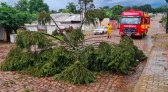 Defesa Civil confirma ocorrência de microexplosão no domingo