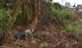 Adolescente de 16 anos é internado por homicídio de homem após desentendimento por drogas
