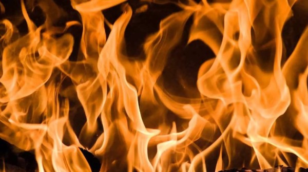Saiba qual eletrodoméstico deve ser desconectado da tomada após o uso para evitar incêndios