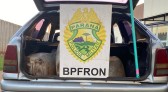 BPFRON apreende veículo carregado com combustível em Santo Antônio do Sudoeste-PR