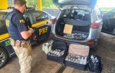 Cerqueirense é detida pela 6ª vez transportando vinhos importados ilegalmente da Argentina