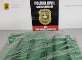 Foragido do Paraná é preso com 10 Kg de maconha