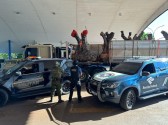 Oliveiras centenárias são apreendidas pela Receita Federal no sudoeste do Paraná