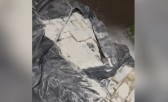 Polícia Federal prende motorista com mais de 1,7 tonelada de maconha em fundo falso no Paraná