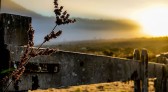 El Niño e pouco frio: confira como será o inverno em SC