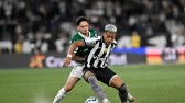 Palmeiras vence o Botafogo fora de casa e segue à caça pela liderança