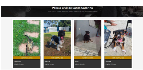 Polícia Civil lança portal para adoção de animais resgatados e vítimas de maus-tratos