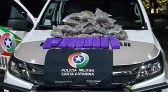 Mulher é presa com quase 12 kg de maconha