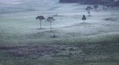 Faltando 12 dias para início do verão, Serra catarinense registra 3ºC ao amanhecer