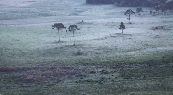 Faltando 12 dias para início do verão, Serra catarinense registra 3ºC ao amanhecer