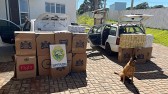 BPFRON apreende veículos com cigarros contrabandeados