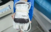 Ministério da Saúde lança aplicativo que facilita a doação de sangue no Brasil