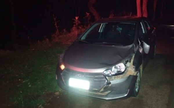 Boi ‘invade’ rodovia estadual e causa acidente em Itapiranga