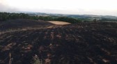 Incêndios florestais de grandes proporções são registrados em 4 municípios catarinenses