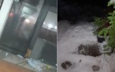 Granizo deixa calçadas brancas, assusta moradores e causa prejuízos em SC