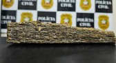 Adolescente é aprendido com drogas no Oeste de SC
