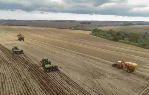 Paraná responde por 13,5% da produção nacional de grãos e registra safra recorde em 2025